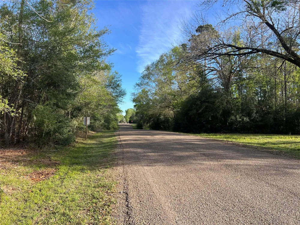 Idlewild Drive Onalaska, TX 77360