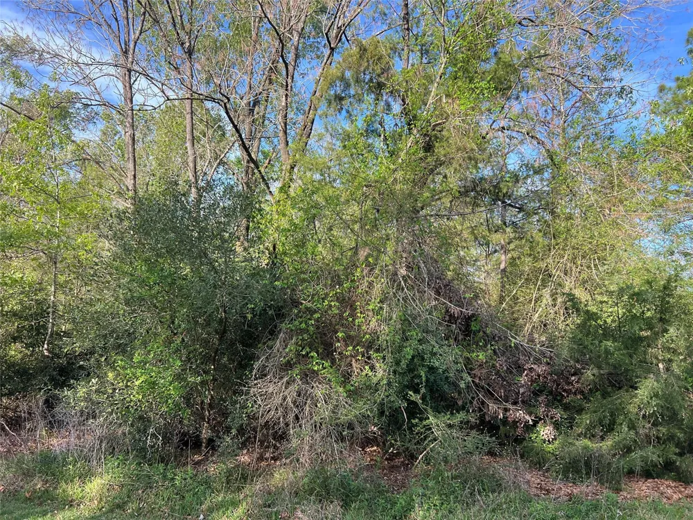 Idlewild Drive Onalaska, TX 77360