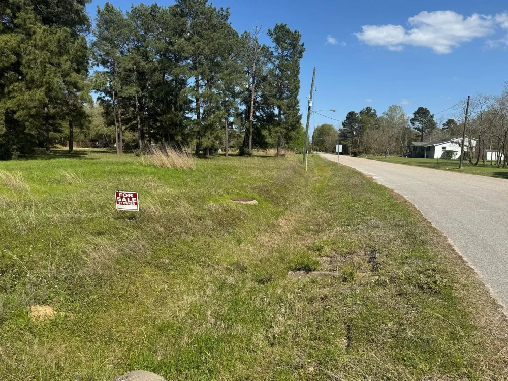 803 Lizzie Lane Tomball, TX 77375