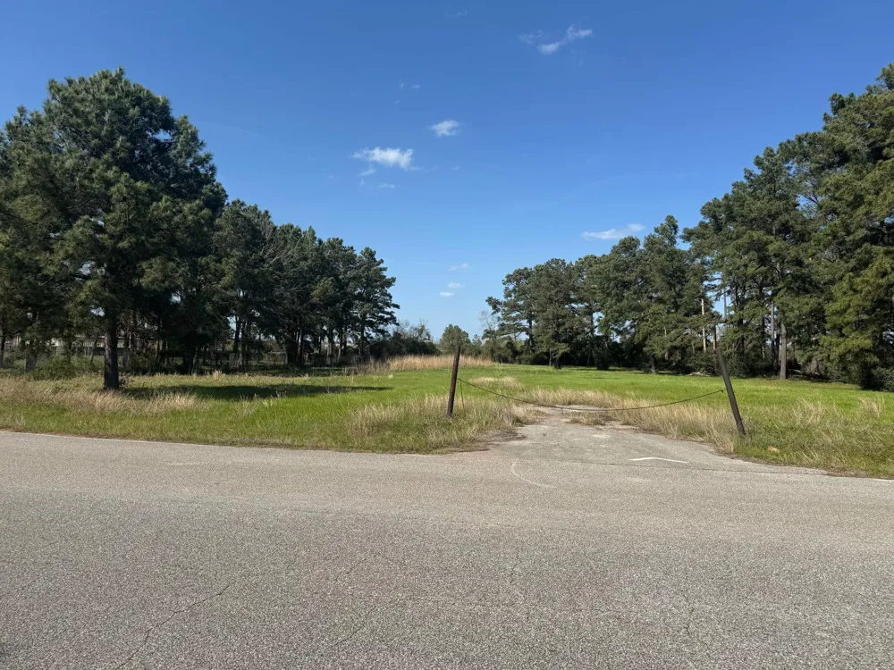 803 Lizzie Lane Tomball, TX 77375