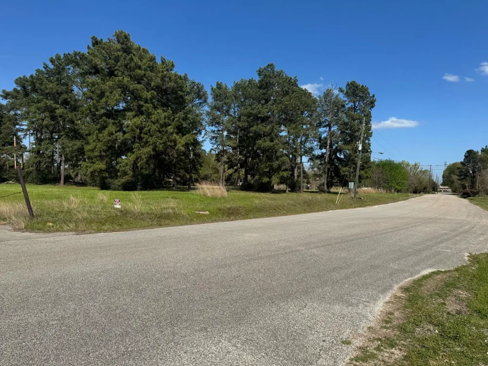 803 Lizzie Lane Tomball, TX 77375