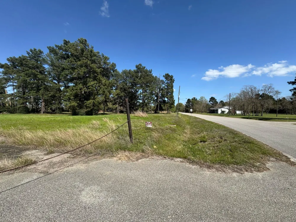 803 Lizzie Lane Tomball, TX 77375