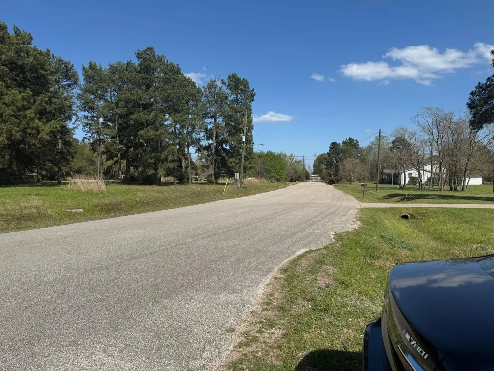 803 Lizzie Lane Tomball, TX 77375
