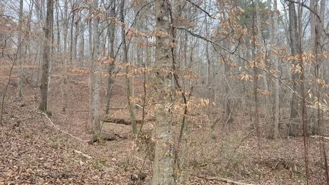 00Lot4 N Helton Road Winston, GA 30187