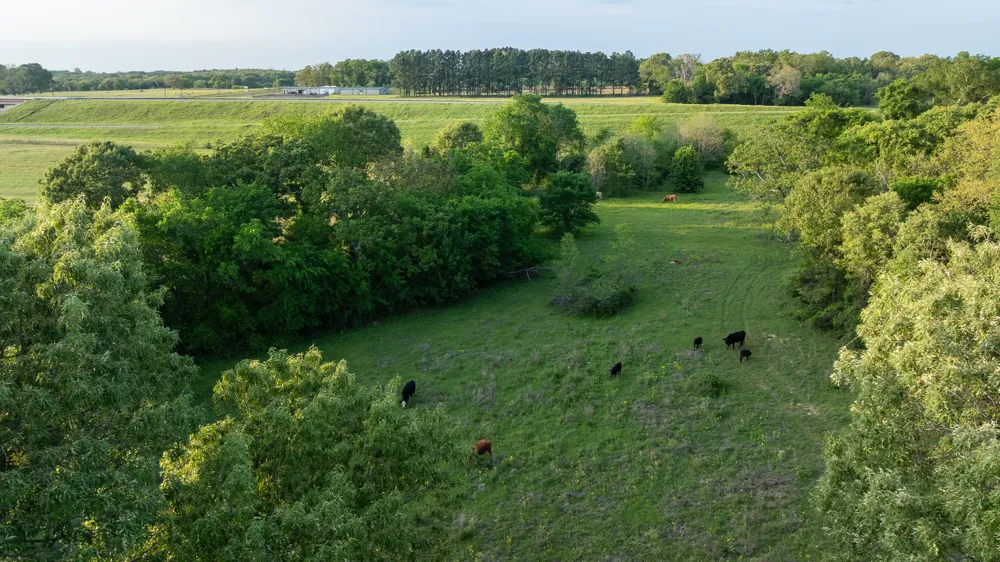 951 SE Loop 7 Athens, TX 75751