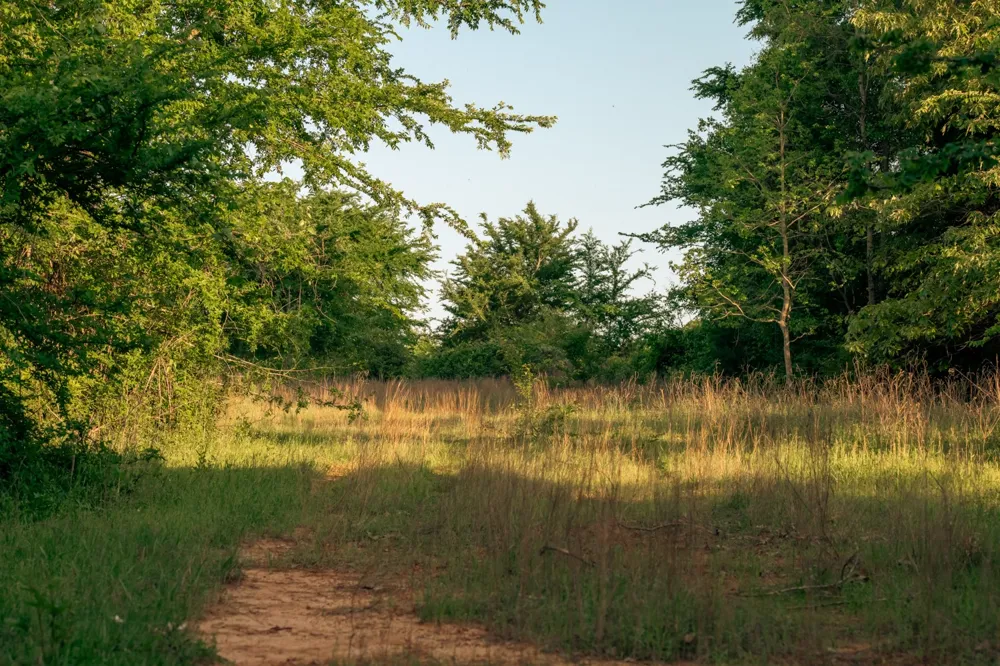 951 SE Loop 7 Athens, TX 75751