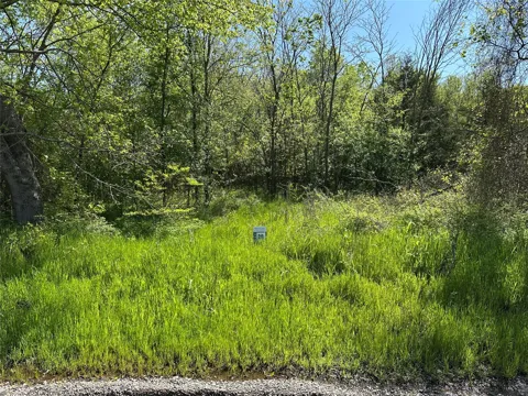 County Road 2960