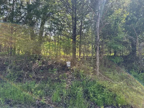 County Road 2960