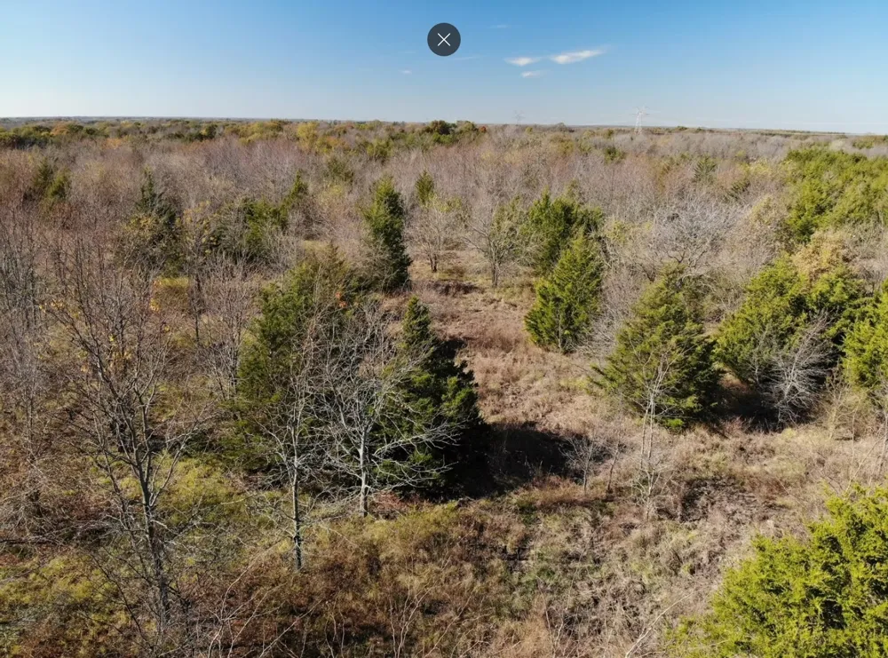 County Road 2960 Honey Grove, TX 75446