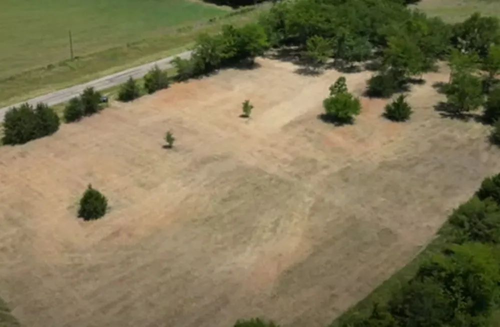 County Road 2960 Honey Grove, TX 75446