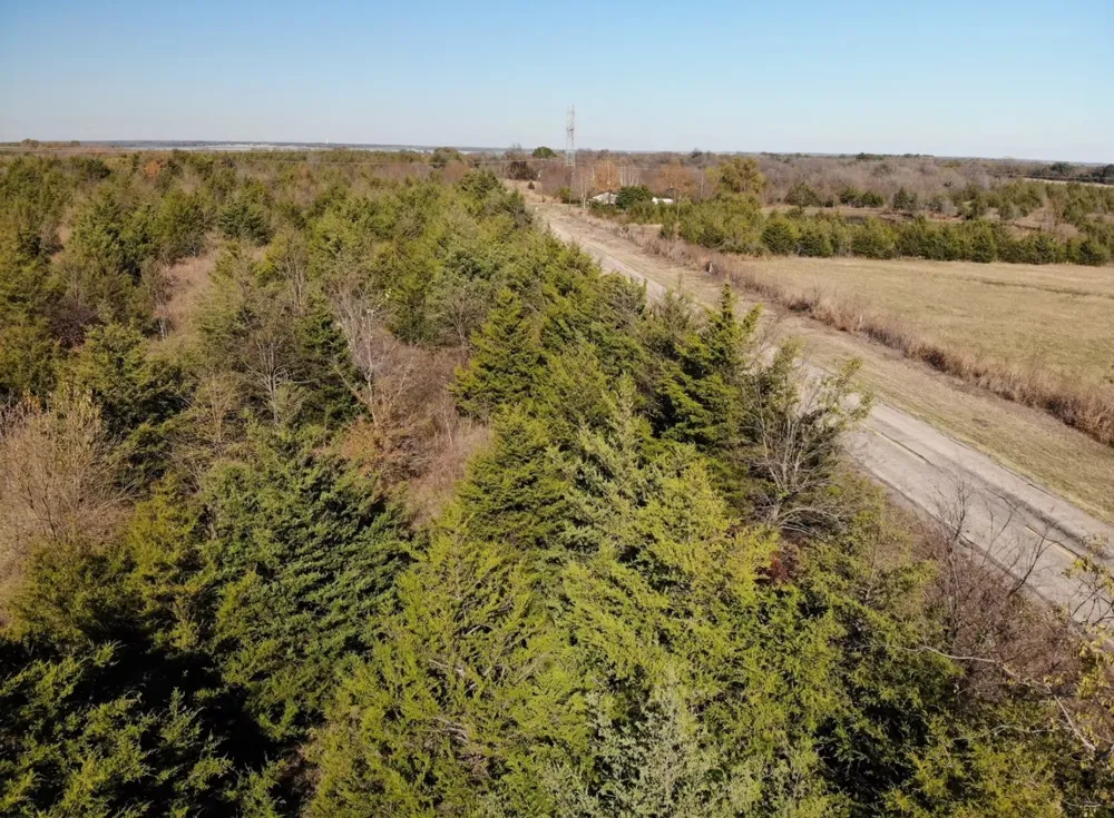 County Road 2960 Honey Grove, TX 75446