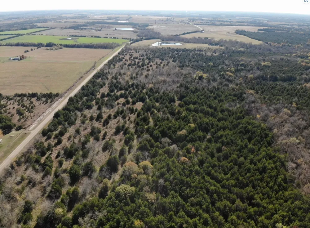 County Road 2960 Honey Grove, TX 75446
