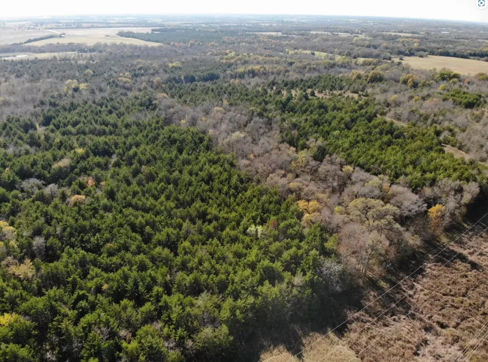 County Road 2960 Honey Grove, TX 75446