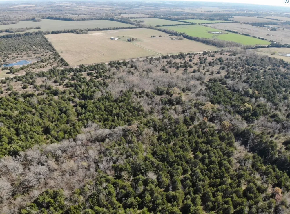 County Road 2960 Honey Grove, TX 75446