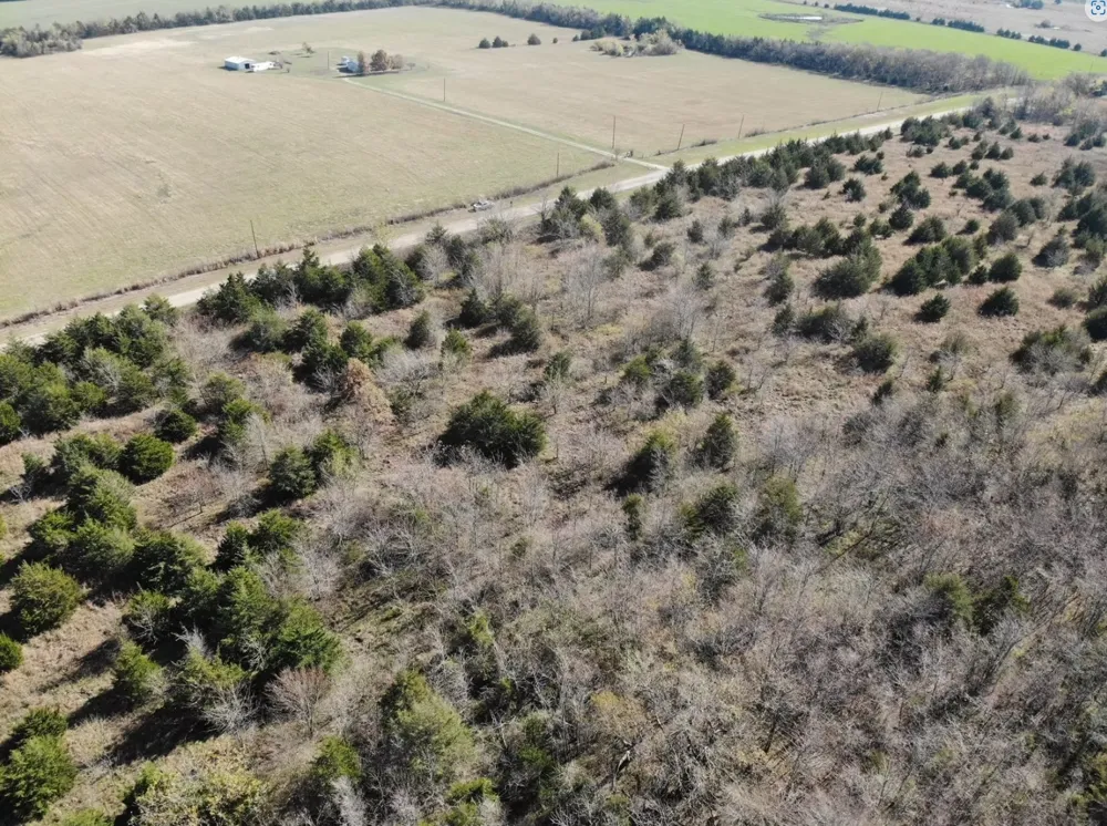 County Road 2960 Honey Grove, TX 75446