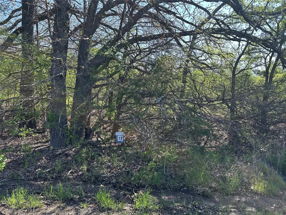 County Road 2960 Honey Grove, TX 75446