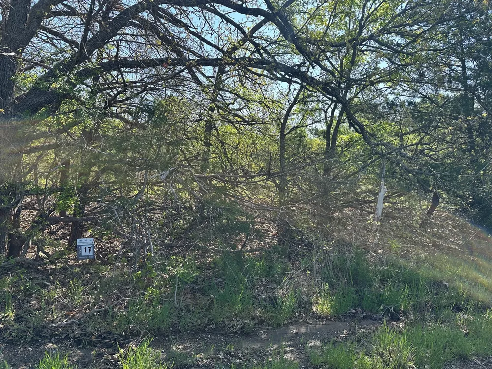 County Road 2960 Honey Grove, TX 75446