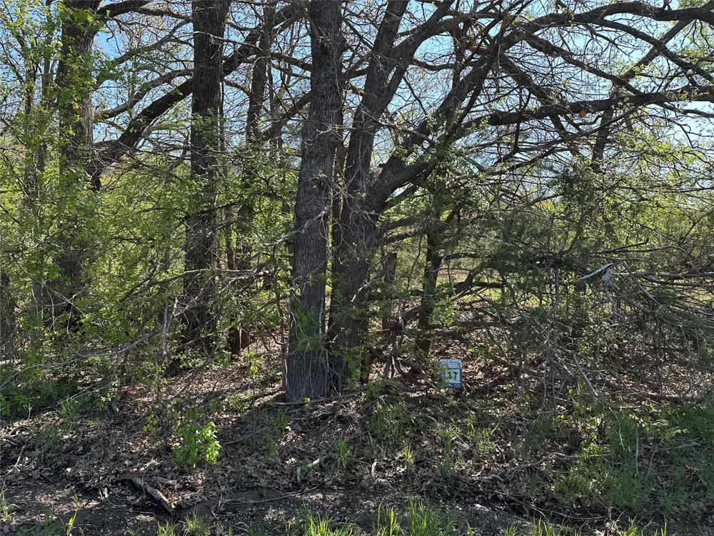 County Road 2960 Honey Grove, TX 75446