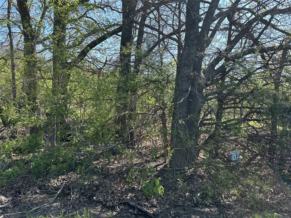 County Road 2960 Honey Grove, TX 75446