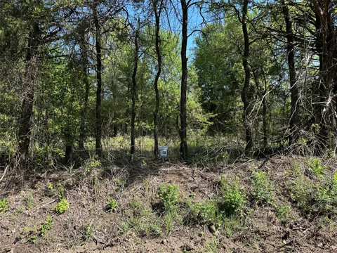 County Road 2951