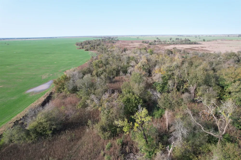 E FM 413 Reagan, TX 76570