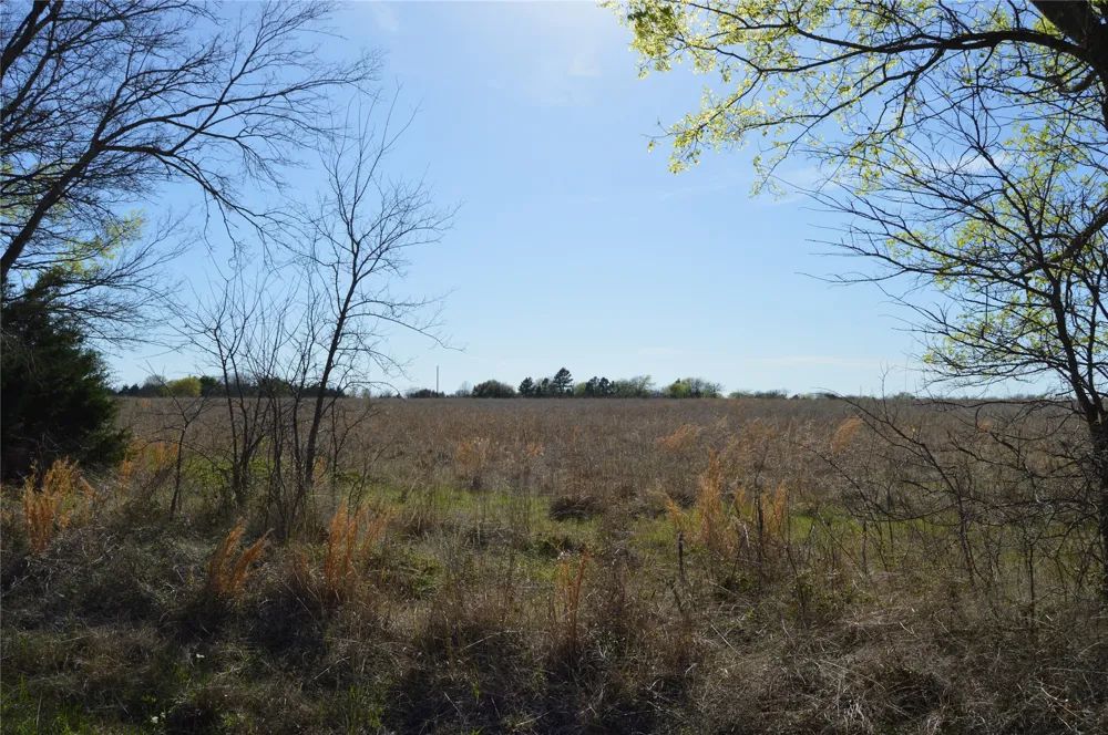 RS County Road 1520 Point, TX 75472