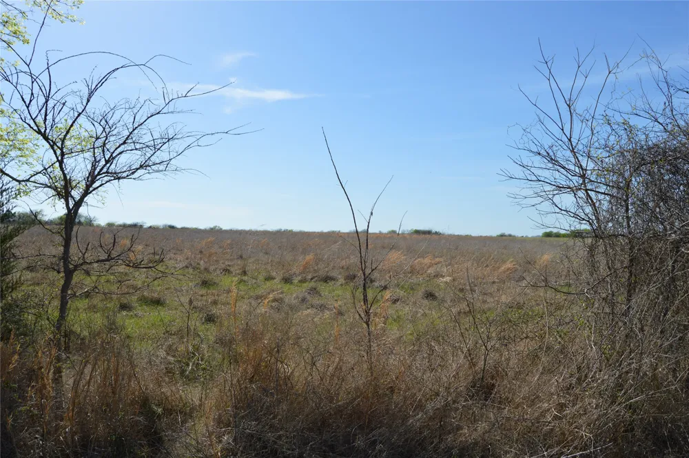 RS County Road 1520 Point, TX 75472