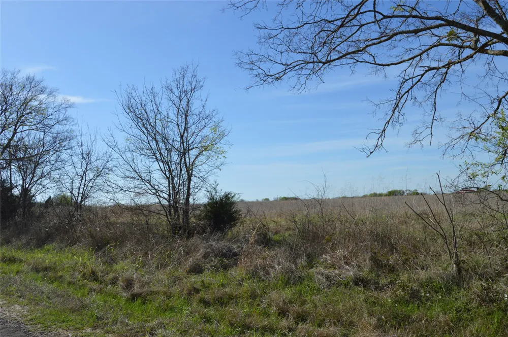RS County Road 1520 Point, TX 75472