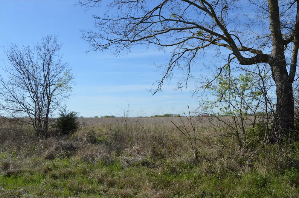 RS County Road 1520 Point, TX 75472