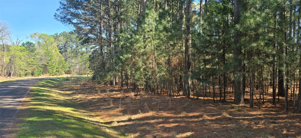 8300 Trophy Point Larue, TX 75770