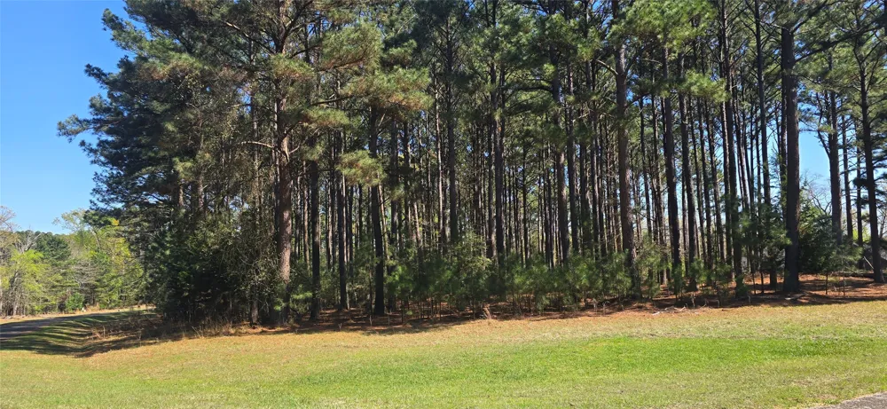 8300 Trophy Point Larue, TX 75770