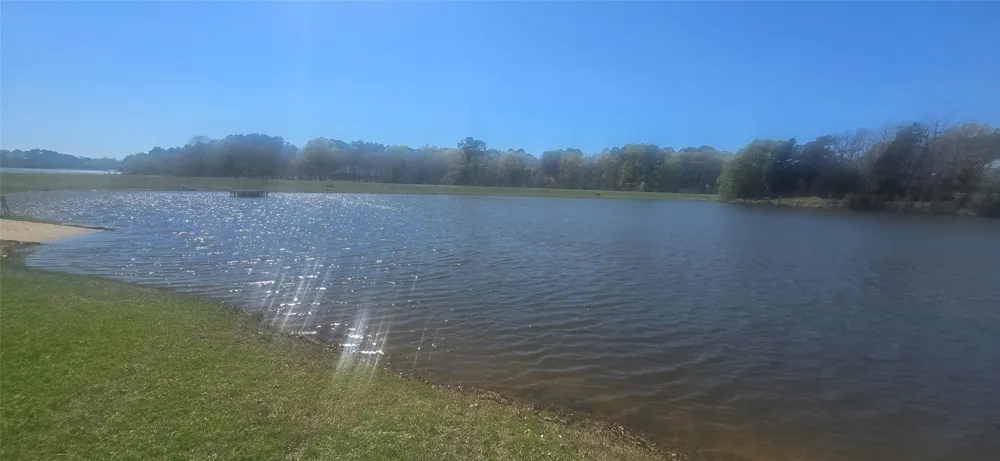 8300 Trophy Point Larue, TX 75770