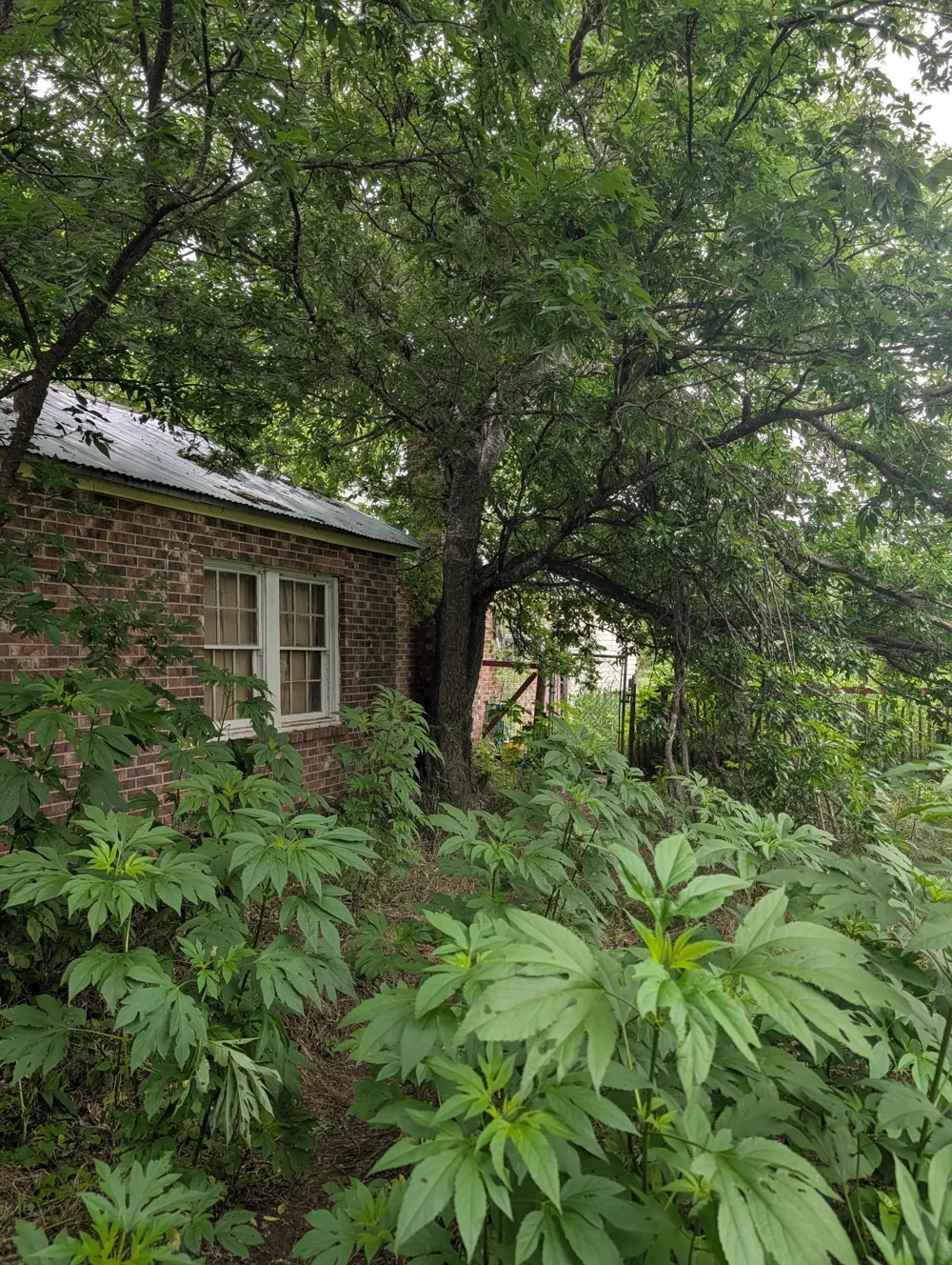 602 Avenue H Blanket, TX 76432