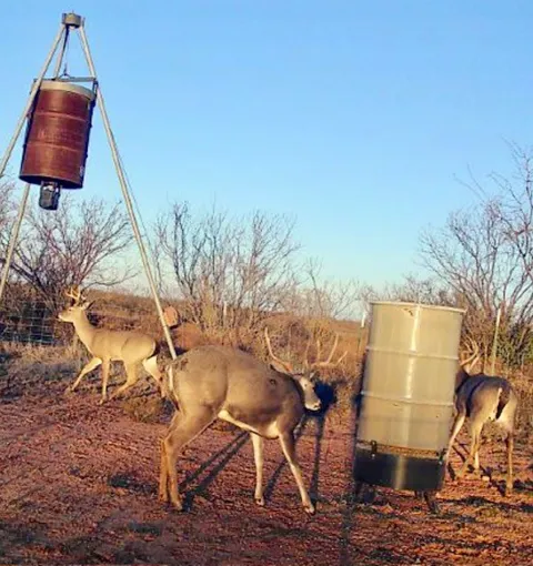 PR off of CR 444