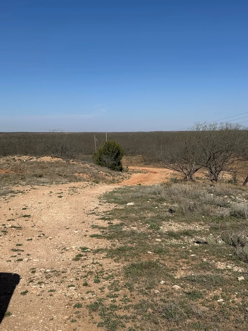 PR off of CR 444 Merkel, TX 79536