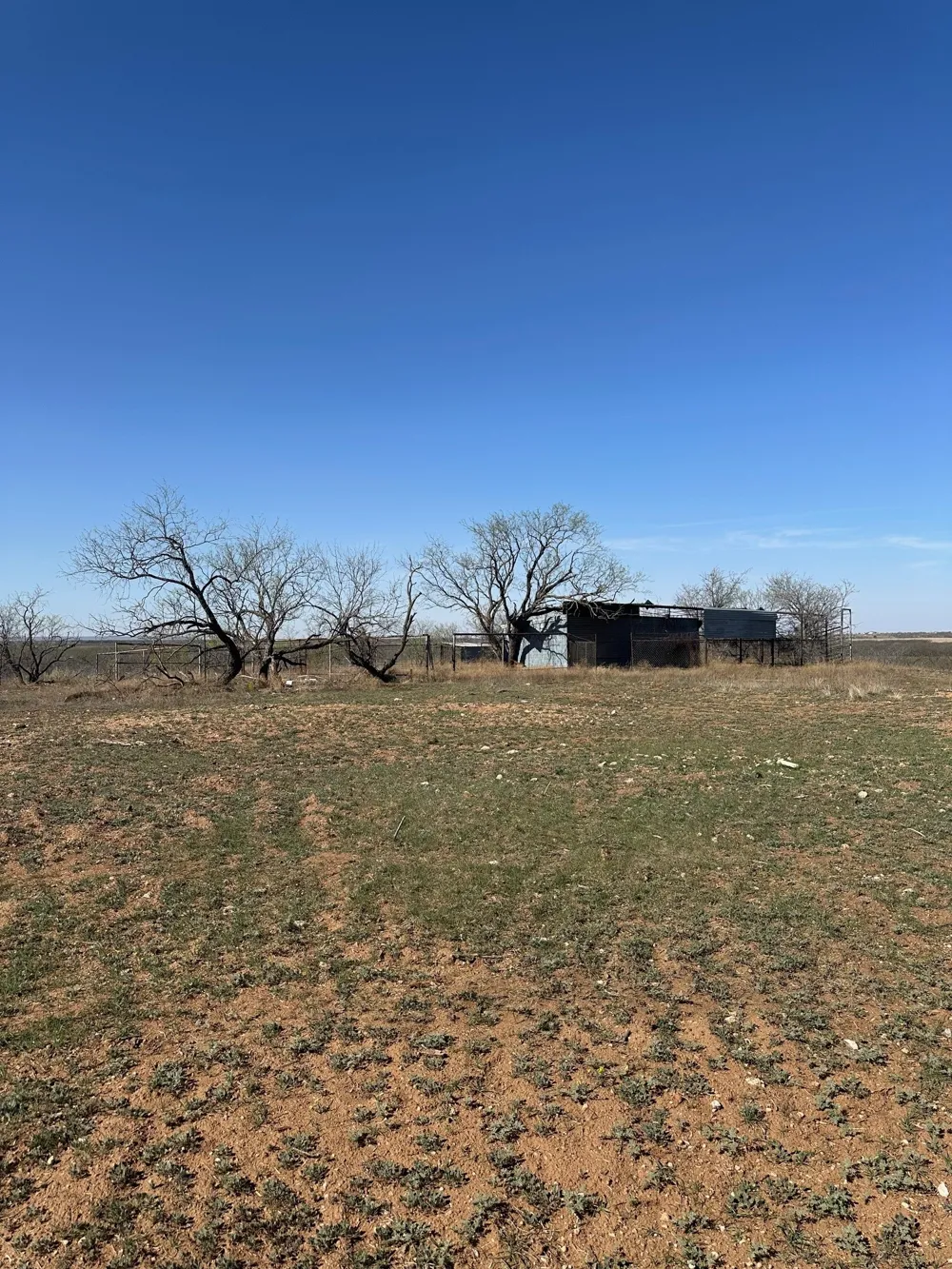 PR off of CR 444 Merkel, TX 79536