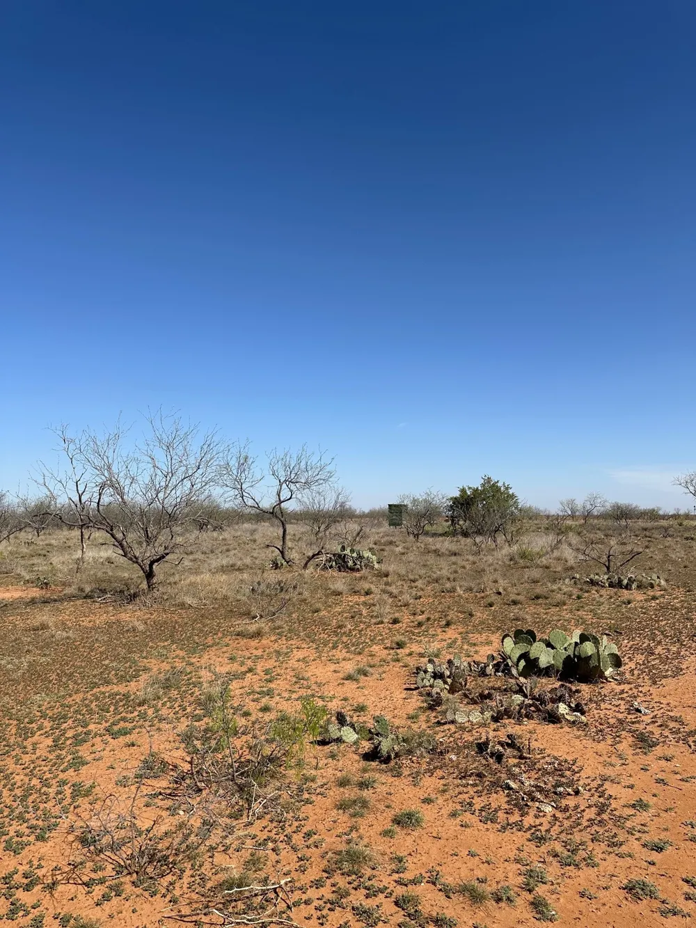 PR off of CR 444 Merkel, TX 79536