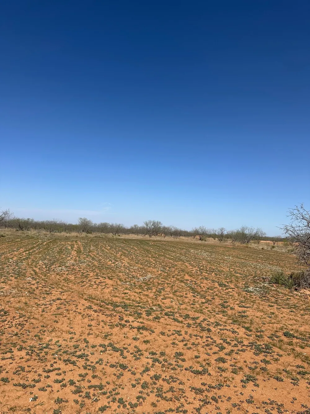 PR off of CR 444 Merkel, TX 79536