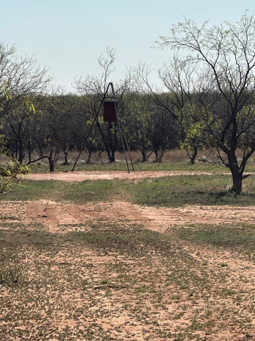 PR off of CR 444 Merkel, TX 79536