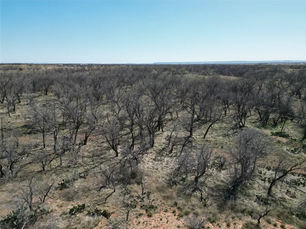 PR off of CR 444 Merkel, TX 79536