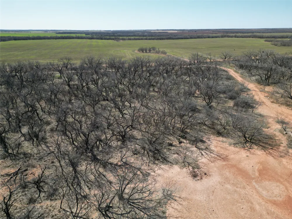 PR off of CR 444 Merkel, TX 79536