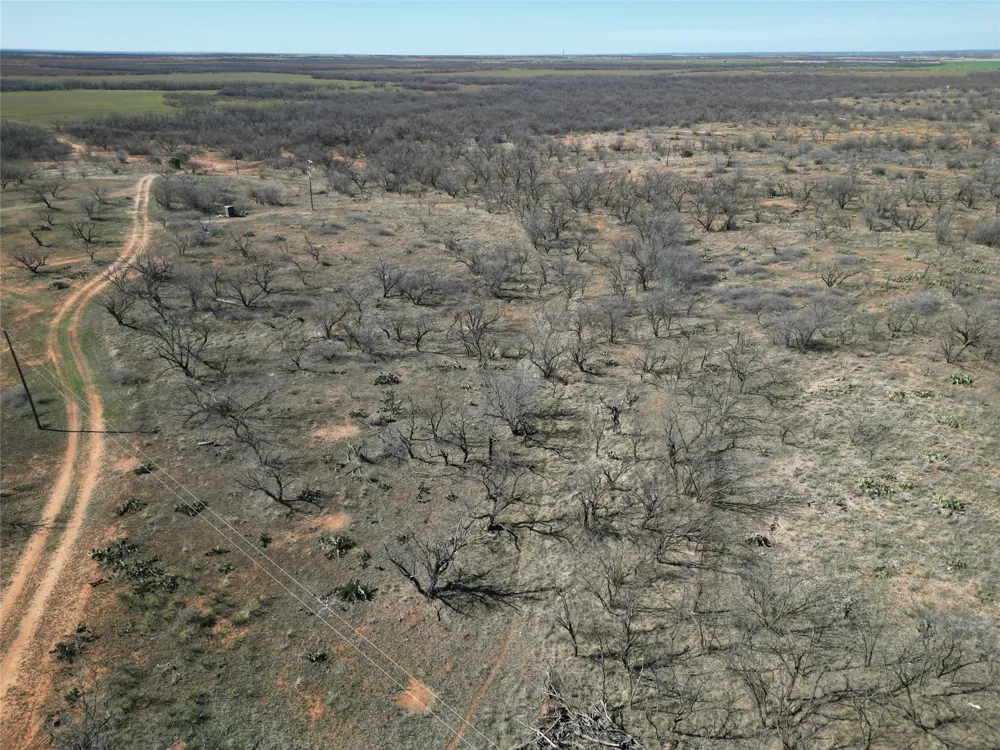PR off of CR 444 Merkel, TX 79536