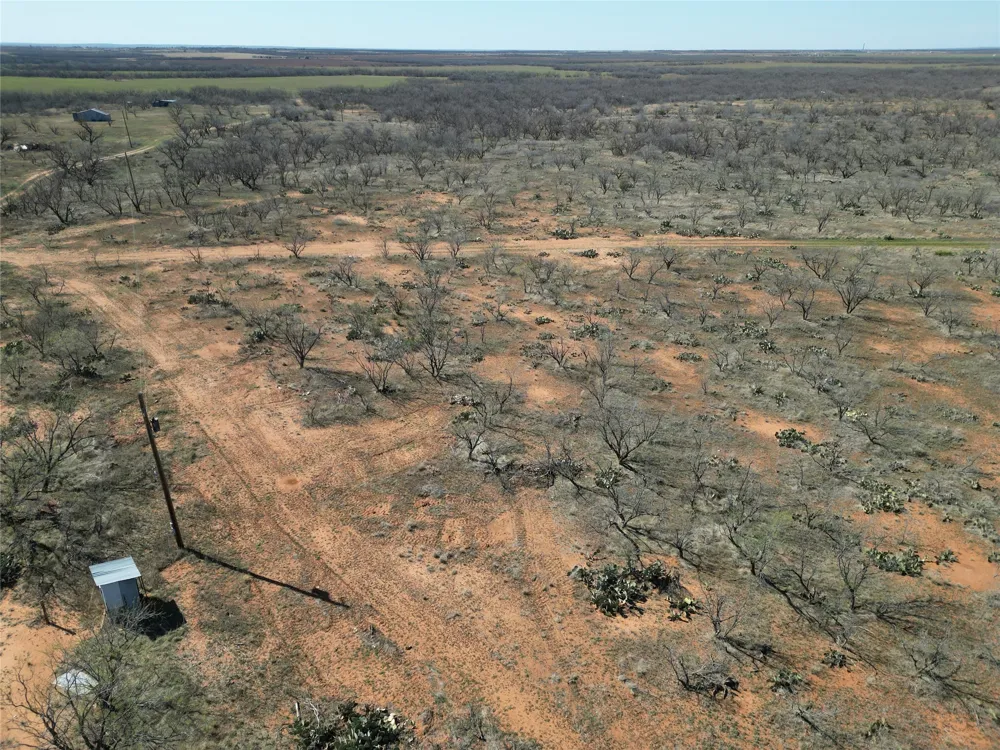 PR off of CR 444 Merkel, TX 79536