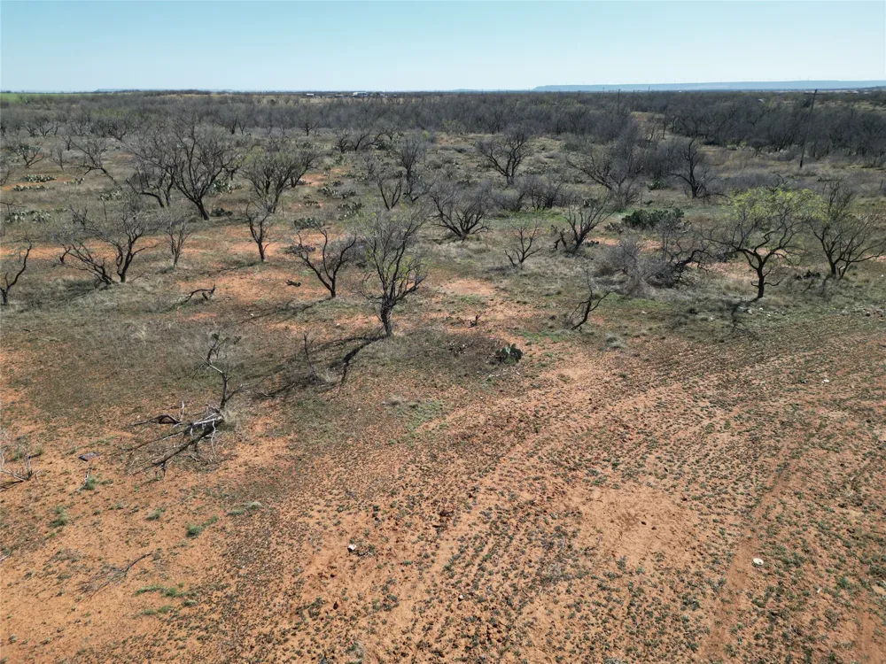 PR off of CR 444 Merkel, TX 79536