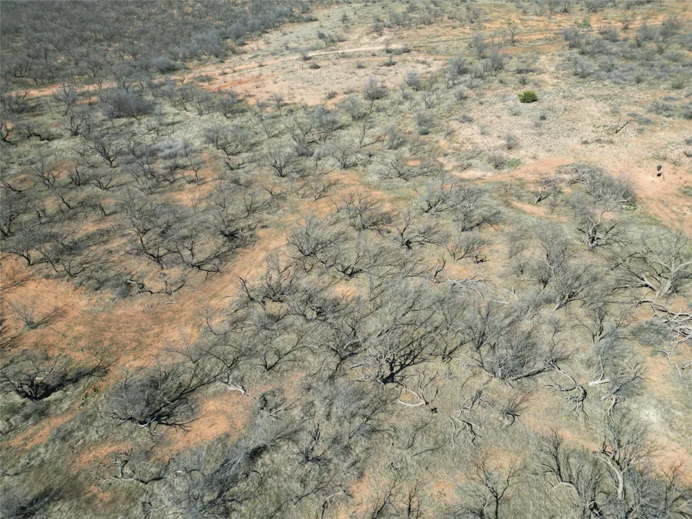 PR off of CR 444 Merkel, TX 79536