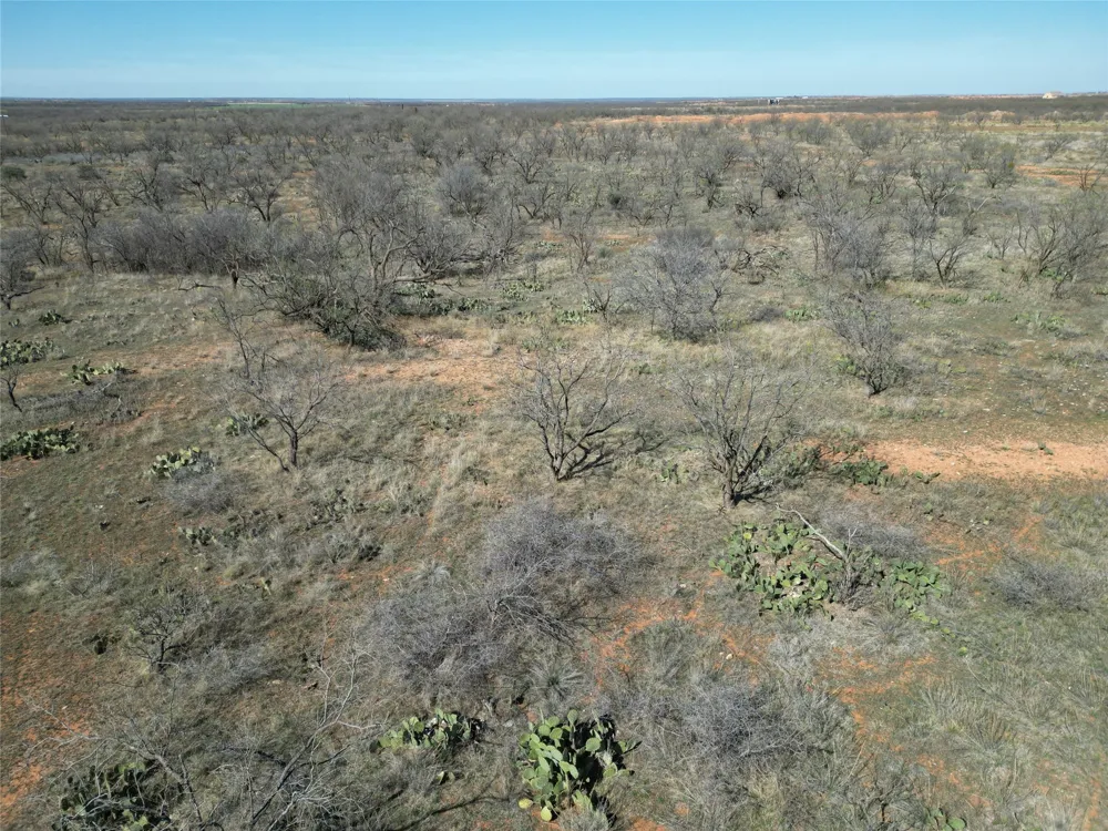 PR off of CR 444 Merkel, TX 79536