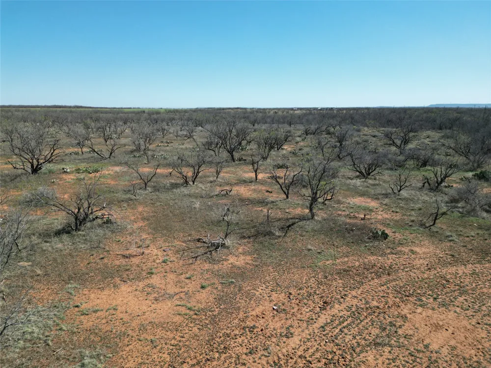 PR off of CR 444 Merkel, TX 79536