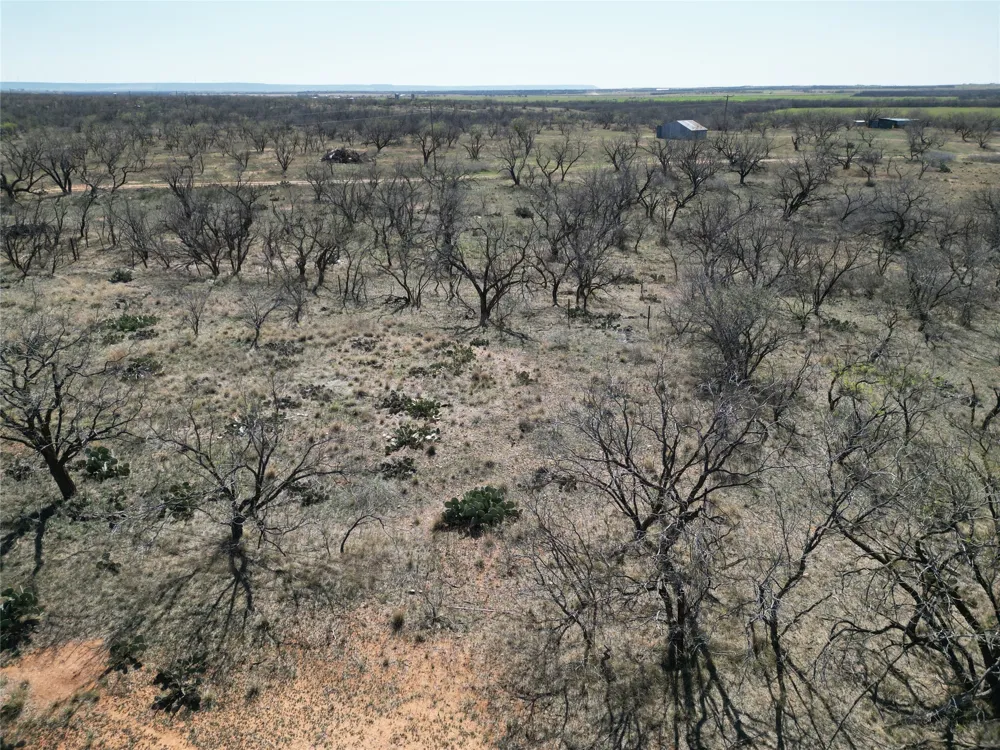 PR off of CR 444 Merkel, TX 79536