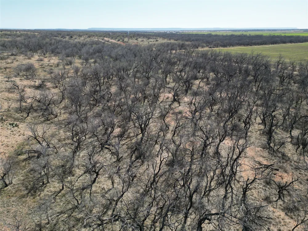 PR off of CR 444 Merkel, TX 79536