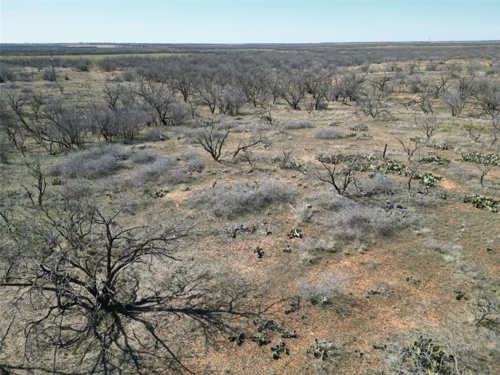 PR off of CR 444 Merkel, TX 79536